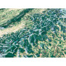 Shenandoah National Park 3D Map